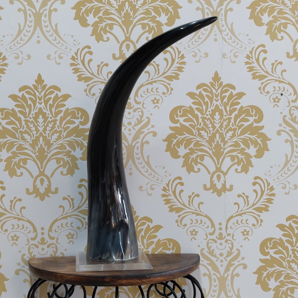 Antique Finish 14-inch Buffalo Horn Decorative Showpiece for Home Décor